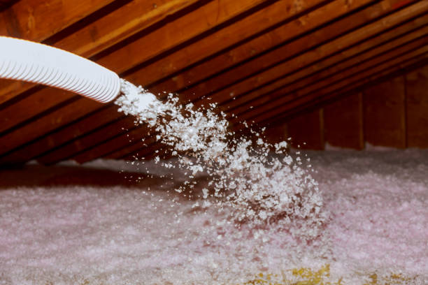 Types of Insulation We Offer in Lady Lake, FL