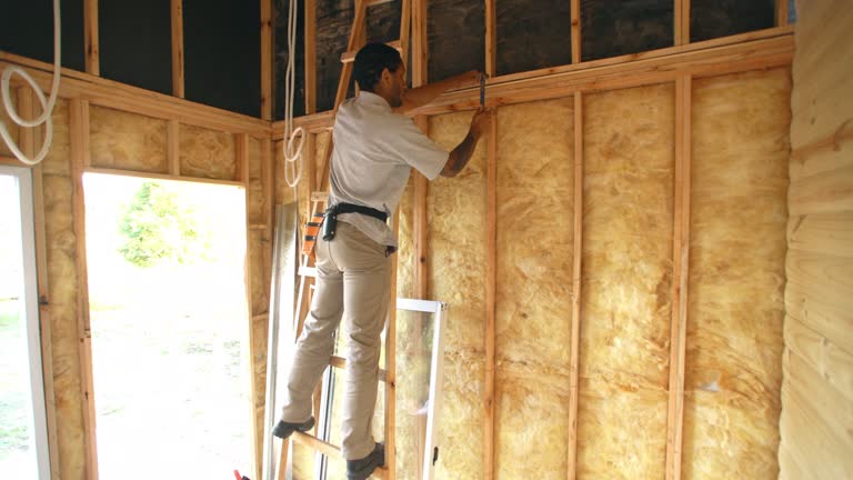  Lady Lake, FL Insulation Services Pros